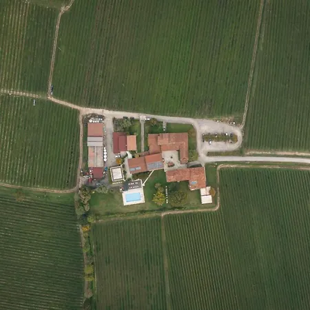 Feliciana