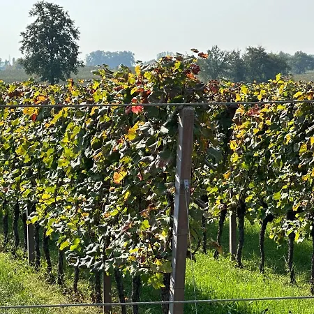 Casa di campagna Feliciana