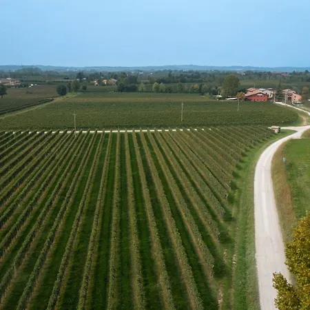 Casa di campagna Feliciana