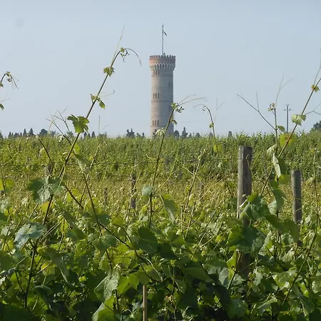 Casa di campagna Feliciana *